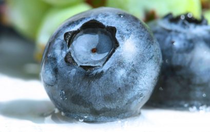 Eat Your Way to Success